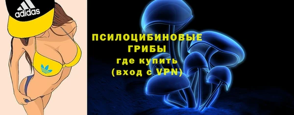 твердый Алзамай